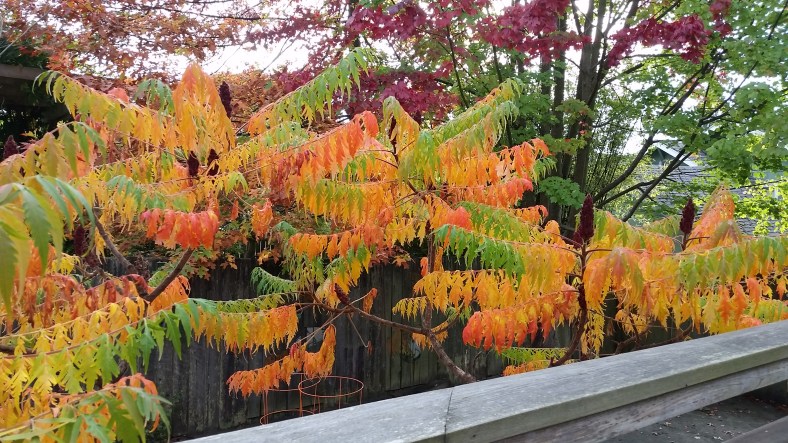 Just beside the decking