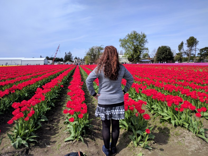 IMG_20170416_121355 1