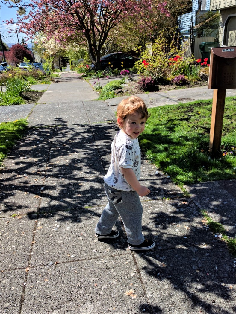 IMG_20170421_104937 1